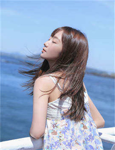 小小智慧树全集播放2011